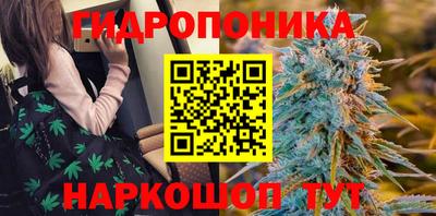 ГАЛЛЮЦИНОГЕННЫЕ ГРИБЫ Гусь-Хрустальный