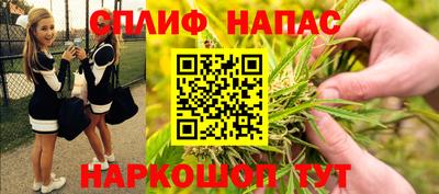 тгк Гусев