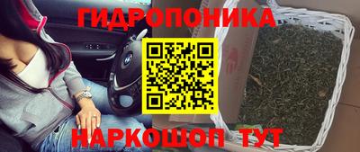 ГАЛЛЮЦИНОГЕННЫЕ ГРИБЫ Гусь-Хрустальный