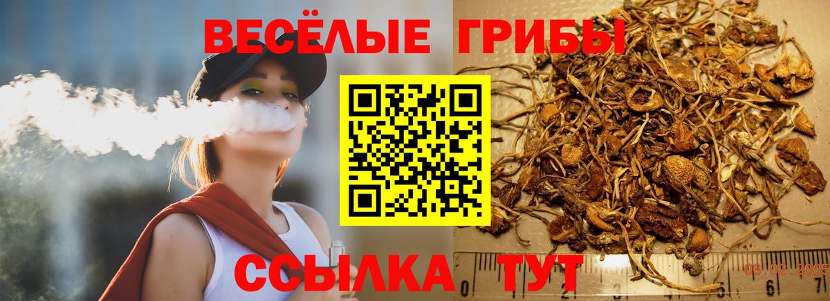 Галлюциногенные грибы Cubensis  Вход с VPN  Слободской 